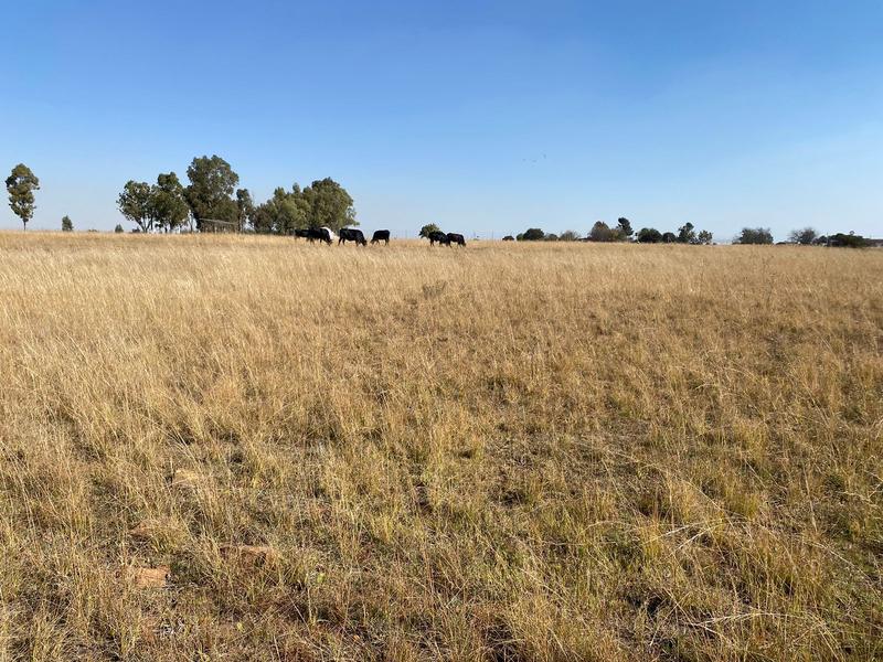 0 Bedroom Property for Sale in Meyerton Gauteng