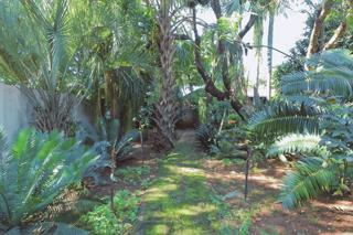 3 Bedroom Property for Sale in Theresa Park Gauteng