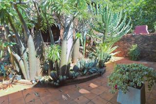 3 Bedroom Property for Sale in Theresa Park Gauteng