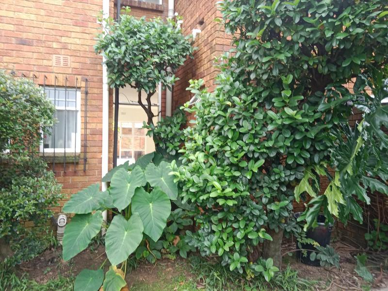 3 Bedroom Property for Sale in Bedford Gardens Gauteng