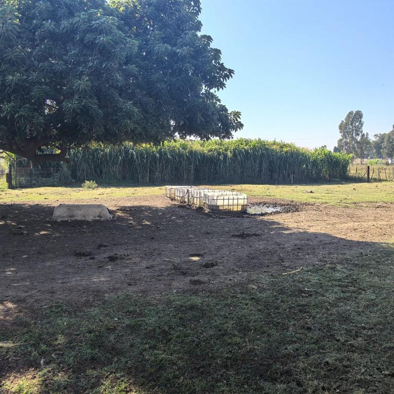 Commercial Property for Sale in Tenacre A H Gauteng