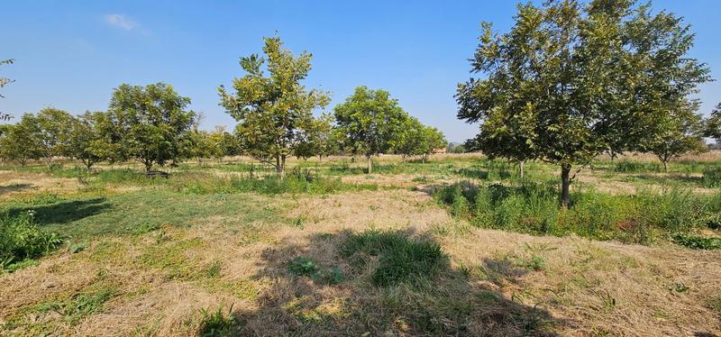4 Bedroom Property for Sale in Haakdoornboom AH Gauteng