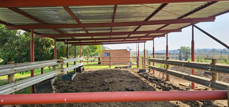 4 Bedroom Property for Sale in Haakdoornboom AH Gauteng
