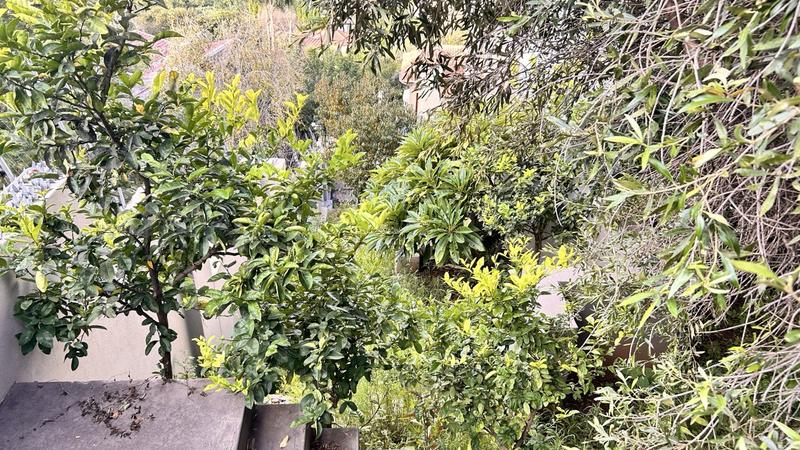 4 Bedroom Property for Sale in Waterkloof Ridge Gauteng