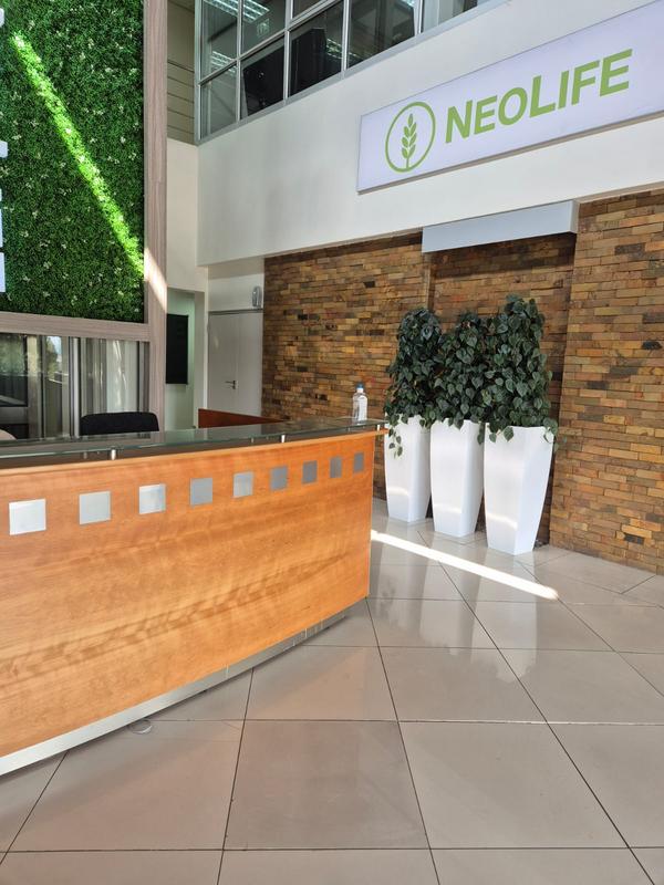 To Let commercial Property for Rent in Edenvale Gauteng