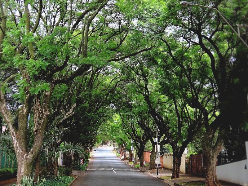 3 Bedroom Property for Sale in Kensington Gauteng