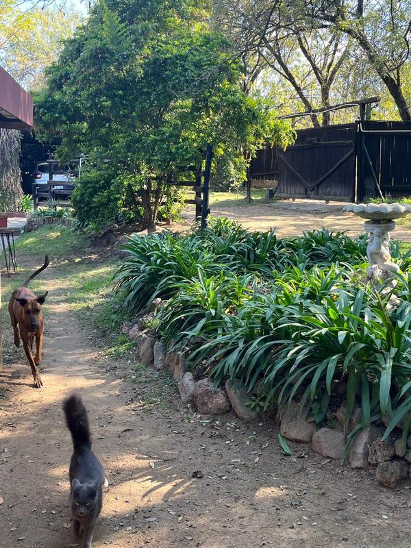 To Let 2 Bedroom Property for Rent in Bloubosrand Gauteng