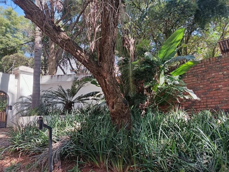 To Let 4 Bedroom Property for Rent in Little Falls Gauteng