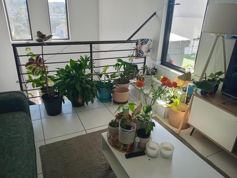 To Let 1 Bedroom Property for Rent in Fourways Gauteng