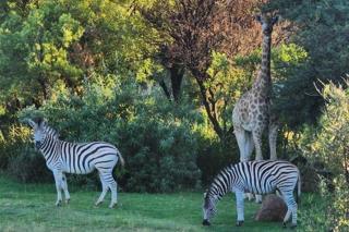 5 Bedroom Property for Sale in Meyersdal Eco Estate Gauteng