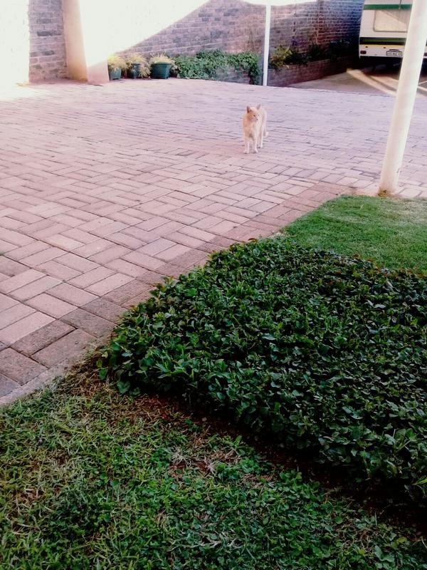 1 Bedroom Property for Sale in Rant En Dal Gauteng