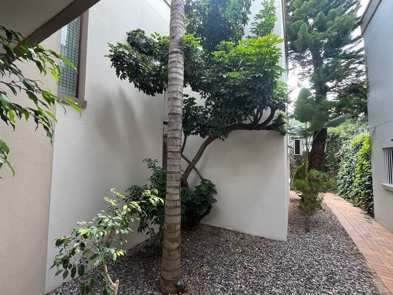 To Let 5 Bedroom Property for Rent in Waterkloof Heights Gauteng