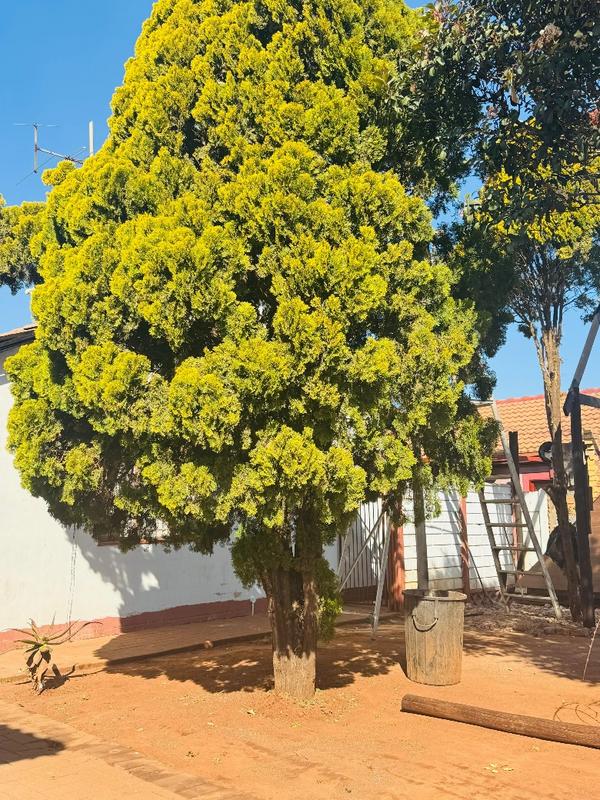 To Let 3 Bedroom Property for Rent in Villa Liza Gauteng