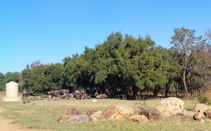 2 Bedroom Property for Sale in Sable Hills Gauteng