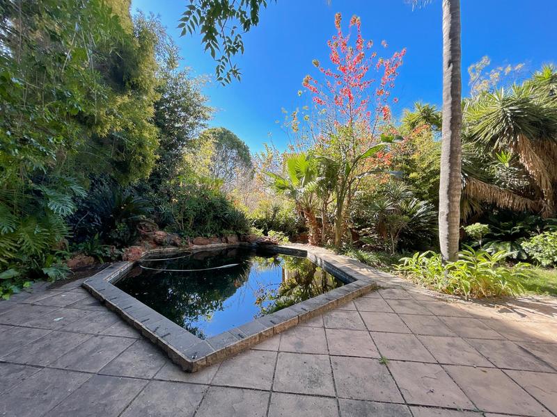 To Let 6 Bedroom Property for Rent in Hurlingham Gauteng
