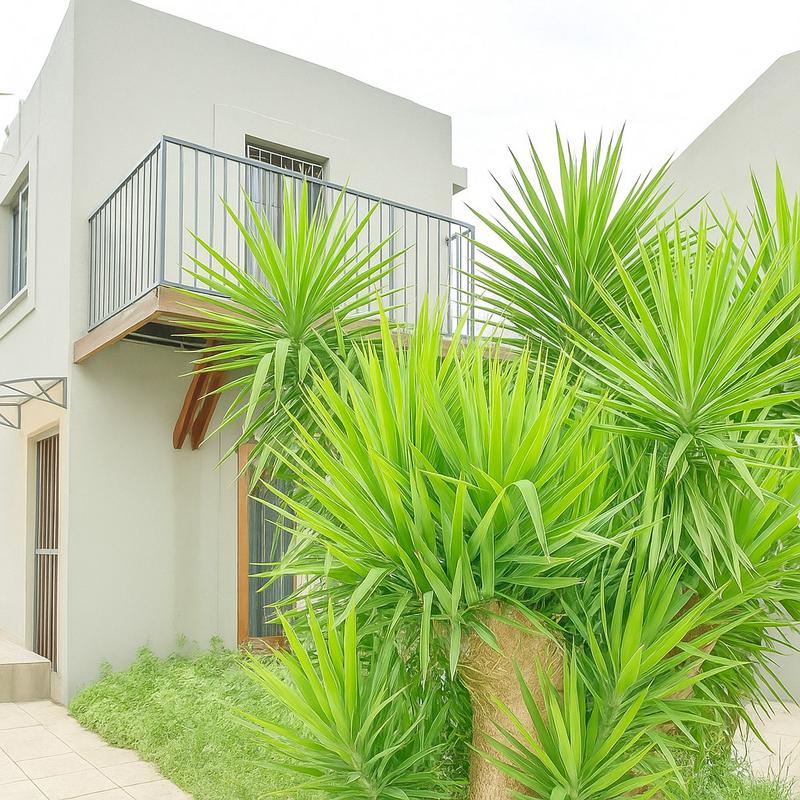 4 Bedroom Property for Sale in Brooklyn Gauteng