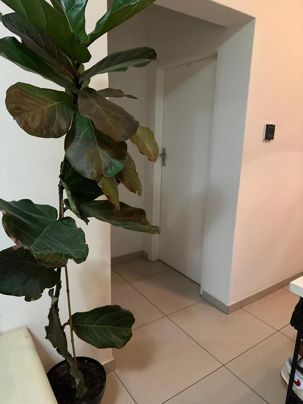 To Let 1 Bedroom Property for Rent in Boksburg Gauteng