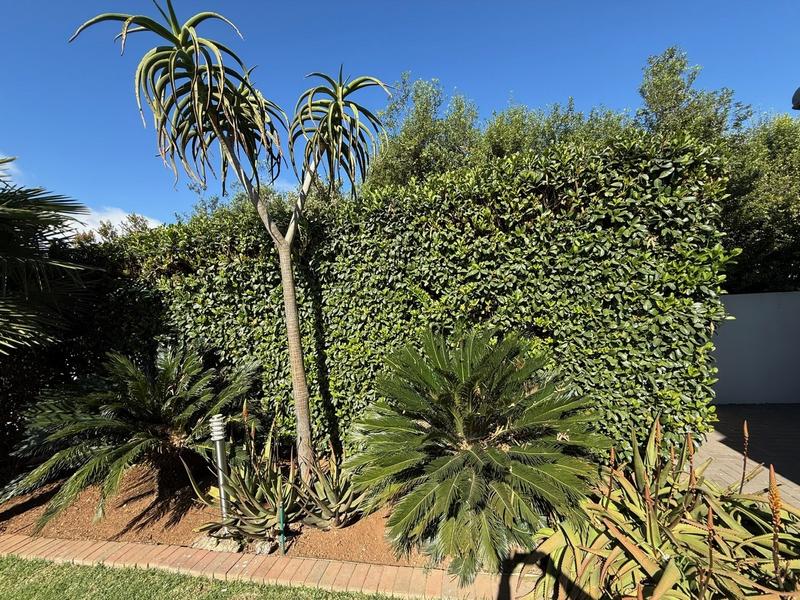 3 Bedroom Property for Sale in Midlands Estate Gauteng