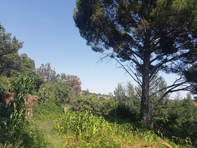 3 Bedroom Property for Sale in Eikenhof Gauteng