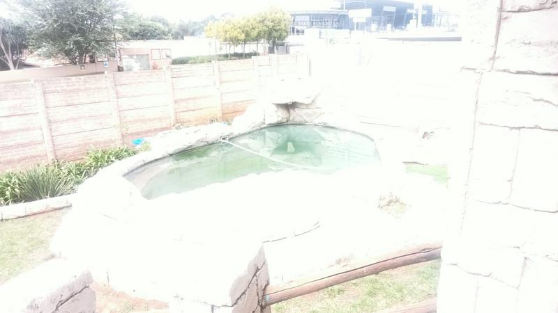 3 Bedroom Property for Sale in Florida North Gauteng