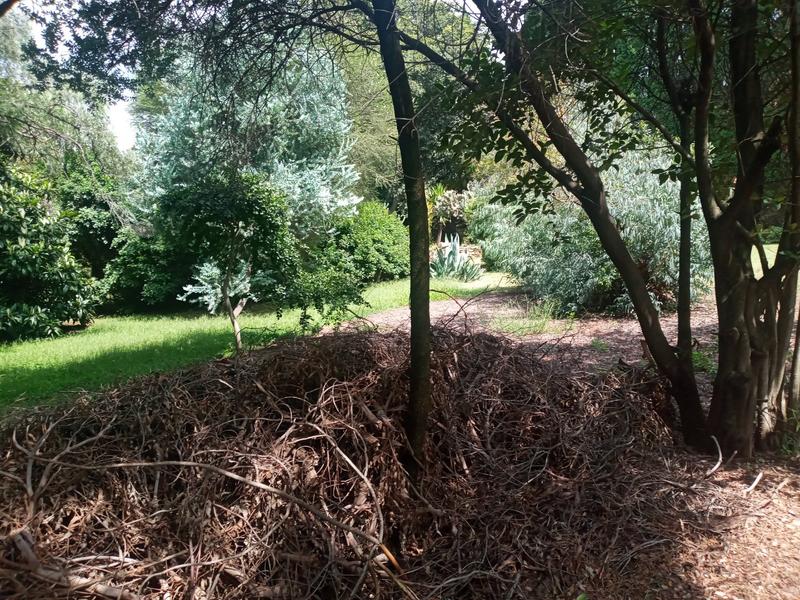 0 Bedroom Property for Sale in Weltevreden Park Gauteng