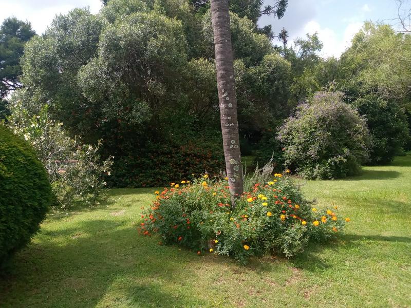 0 Bedroom Property for Sale in Weltevreden Park Gauteng