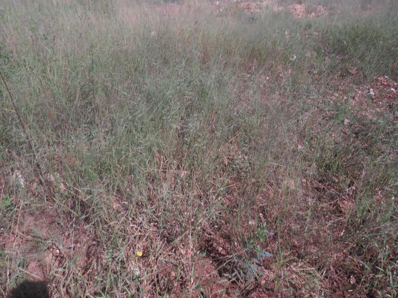 0 Bedroom Property for Sale in Mohlakeng Gauteng