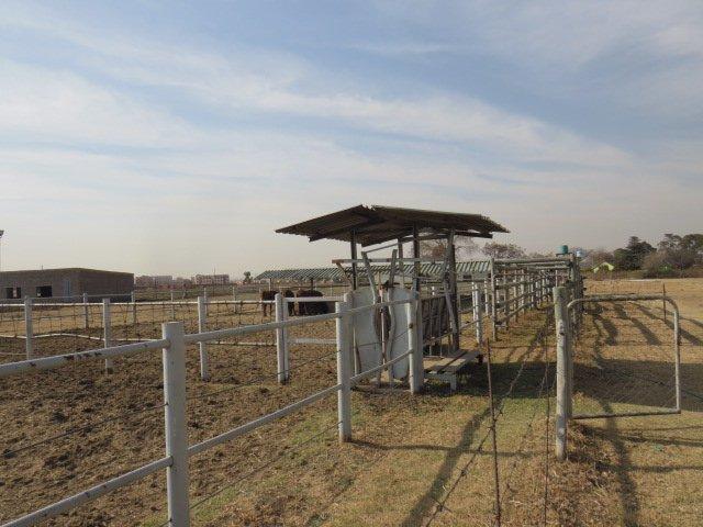 0 Bedroom Property for Sale in Finsbury Gauteng