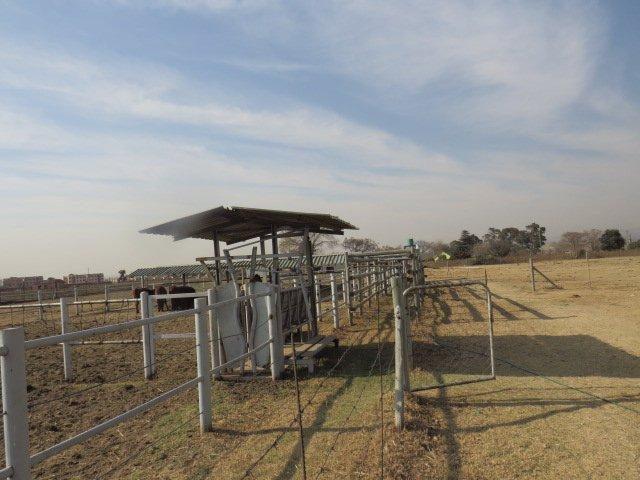0 Bedroom Property for Sale in Finsbury Gauteng
