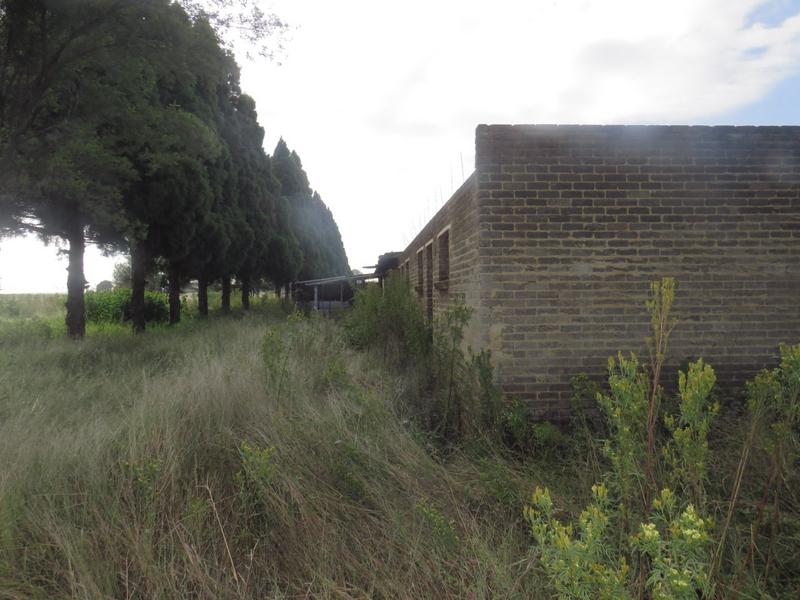 4 Bedroom Property for Sale in Tarlton Gauteng