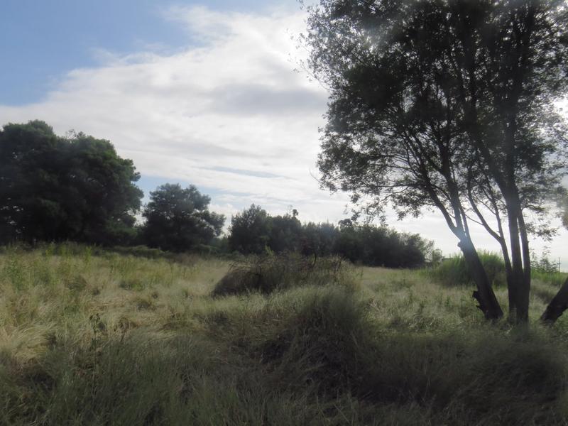 4 Bedroom Property for Sale in Tarlton Gauteng