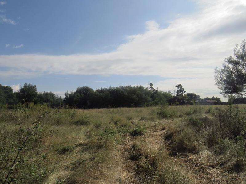 4 Bedroom Property for Sale in Tarlton Gauteng