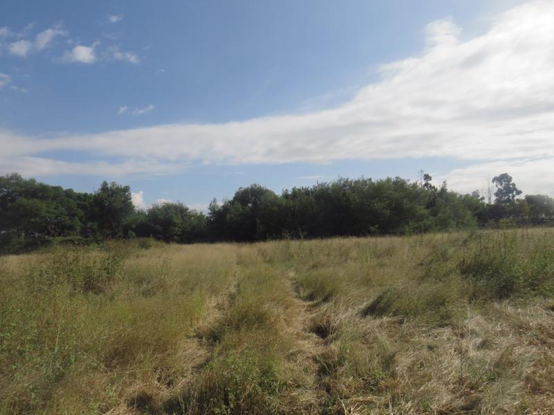 4 Bedroom Property for Sale in Tarlton Gauteng
