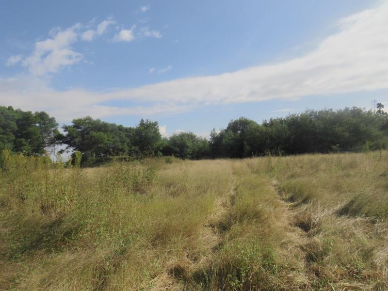 4 Bedroom Property for Sale in Tarlton Gauteng