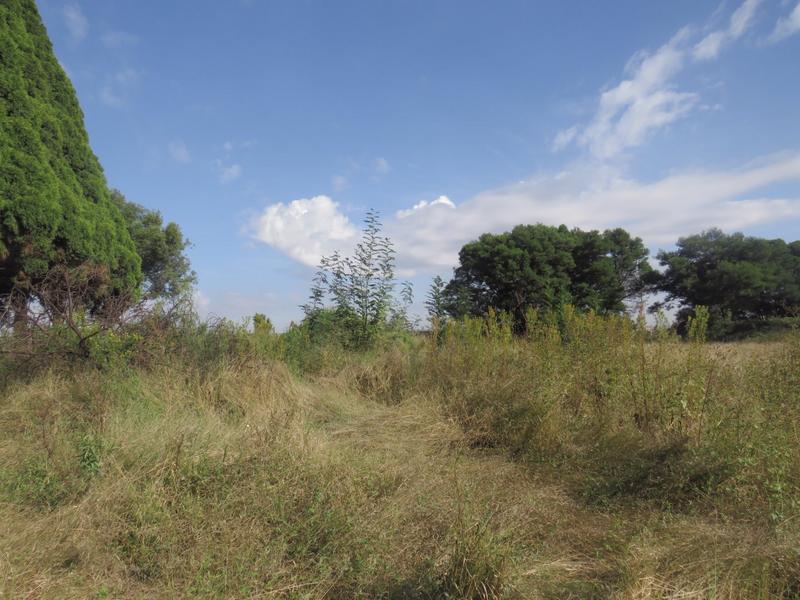 4 Bedroom Property for Sale in Tarlton Gauteng