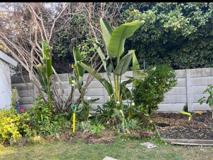 To Let 4 Bedroom Property for Rent in Kensington B Gauteng