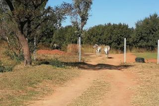 To Let 2 Bedroom Property for Rent in Kameeldrift East Gauteng