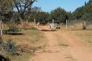 To Let 2 Bedroom Property for Rent in Kameeldrift East Gauteng