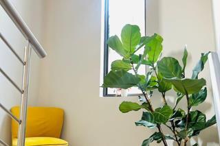 3 Bedroom Property for Sale in Sandton Gauteng
