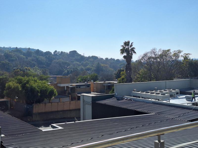 To Let commercial Property for Rent in Lynnwood Gauteng