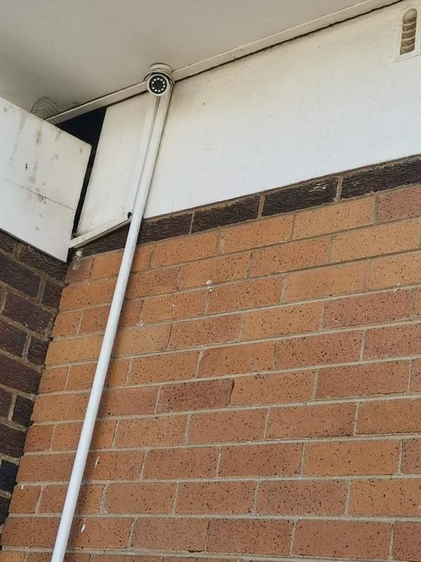 To Let 1 Bedroom Property for Rent in Primrose Gauteng