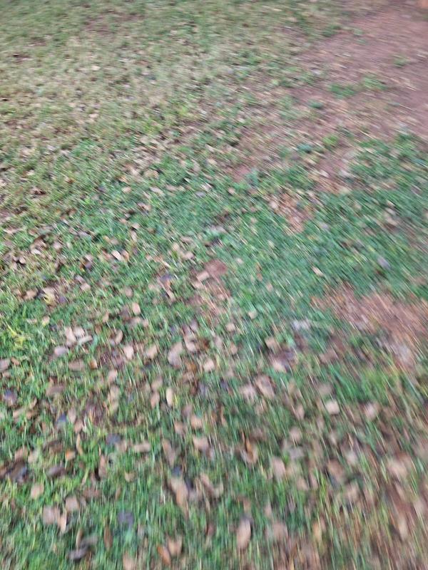 To Let 1 Bedroom Property for Rent in Ferndale Gauteng