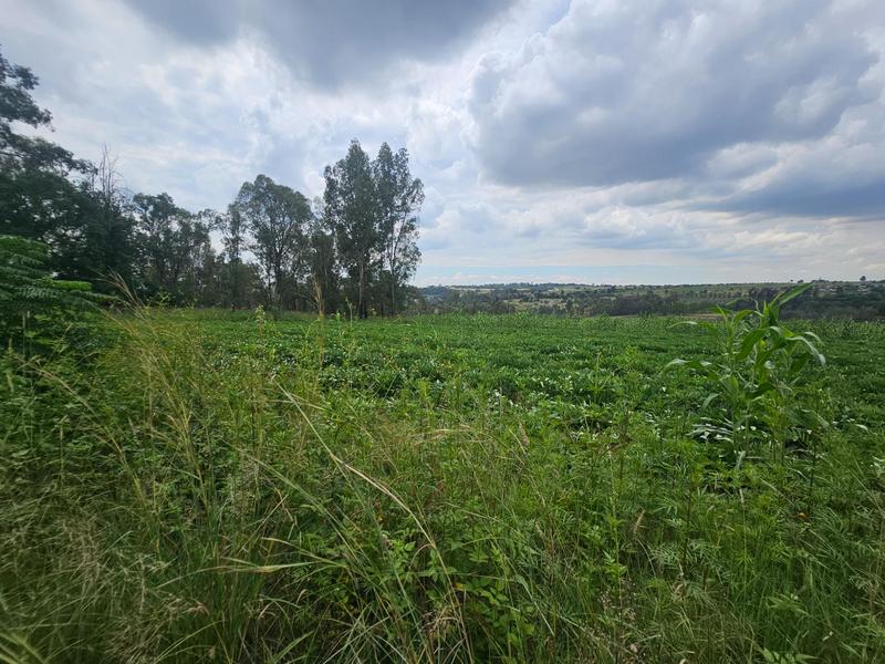 30 Bedroom Property for Sale in Nooitgedacht Gauteng
