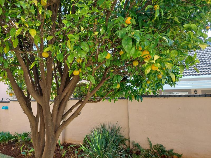 2 Bedroom Property for Sale in Sinoville Gauteng