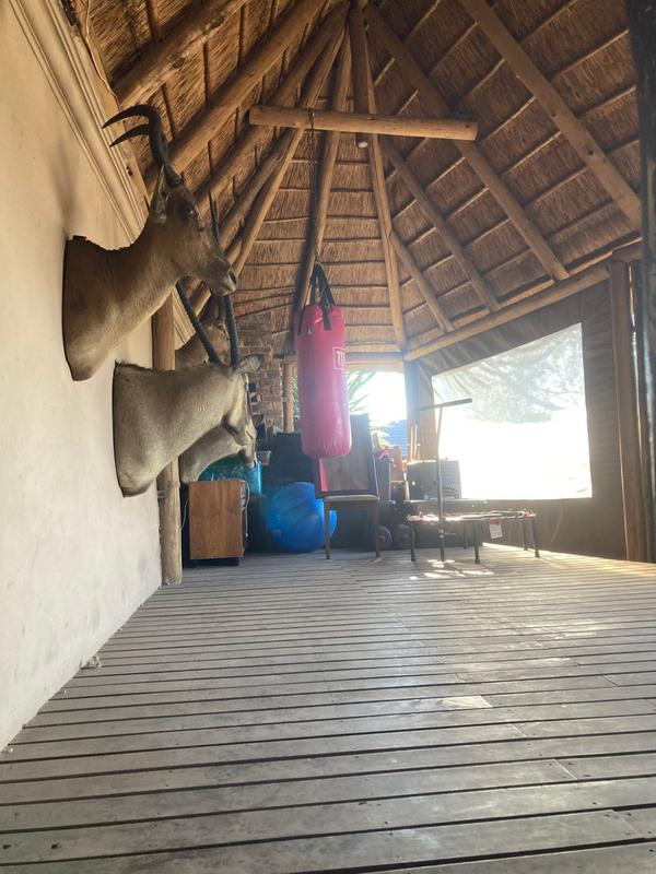 3 Bedroom Property for Sale in Homestead Gauteng