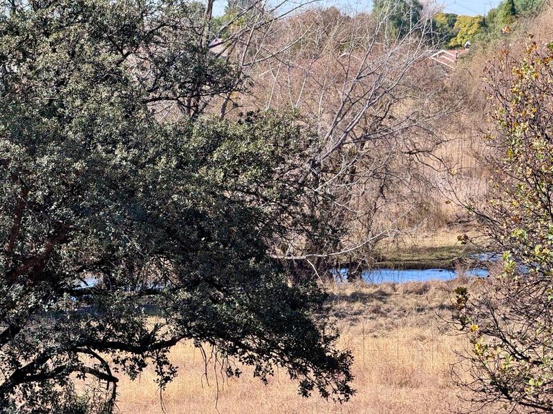 2 Bedroom Property for Sale in Three Rivers Gauteng