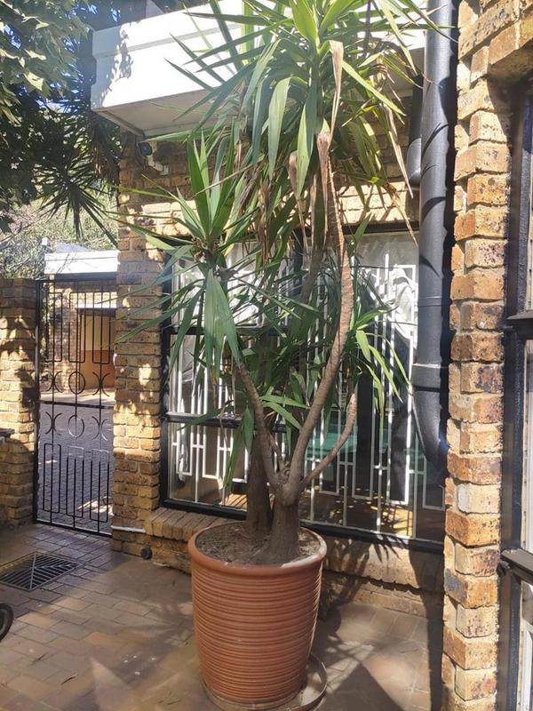4 Bedroom Property for Sale in Sunward Park Gauteng