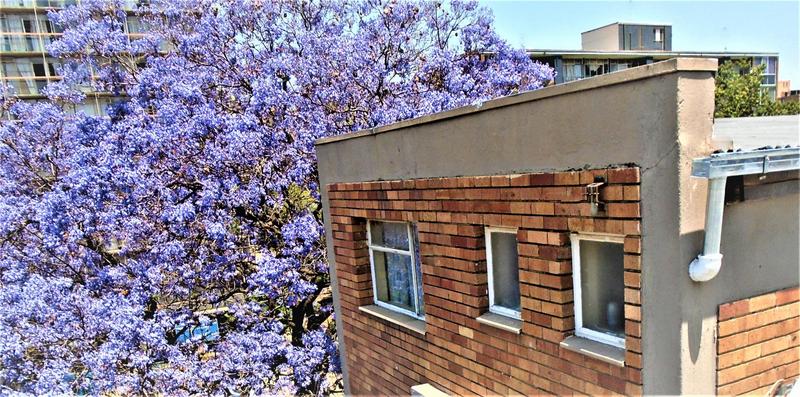 To Let 1 Bedroom Property for Rent in Sunnyside Gauteng