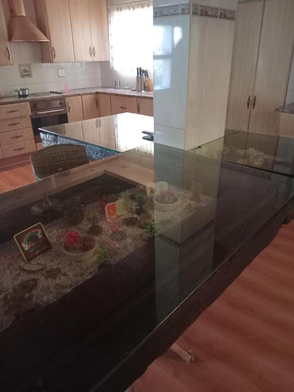 To Let 3 Bedroom Property for Rent in Mondeor Gauteng