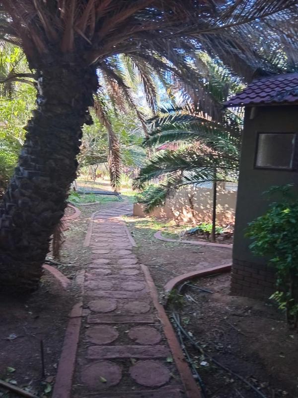 To Let 3 Bedroom Property for Rent in Mondeor Gauteng